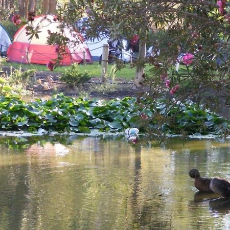 Keshet Yehonatan Country Lodging Εξωτερικό φωτογραφία